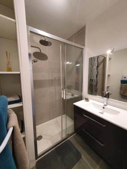 Appartement Centre Ville Au Calme Jardin Et Parking Public 라로셸 외부 사진